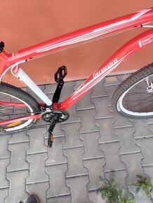 Specialized Rockhopper sl - 14