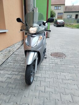 Prodám Honda SH 300 - 14