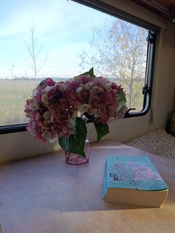 Prodám Fiat Ducato r.v.2000 - 14