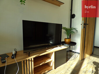 Pronájem bytu 2+1 ulice Rybářská - Opava - 14