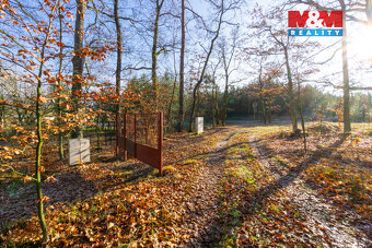 Prodej chaty, pozemek 12 745 m², Štěpánovsko - 14