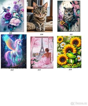 DIY Diamond painting Diamantové malování 30x40 - 14