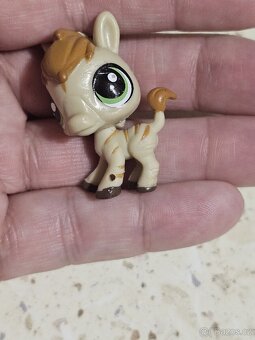 Zvířátka alá lps - 14