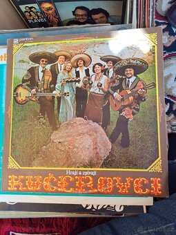 Desky, více jak 150 ks, pop, country, dechovka - 14