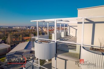 Prodej, byty/5+kk, 217.54 m2, U Borského parku 3060/18, Jižn - 14