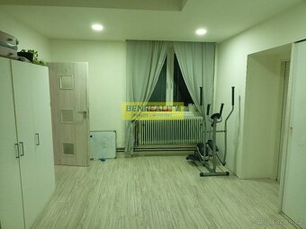 Prodej velkého rodinného domu (2byty: 3kk a 2+1) Mikulovice - 14