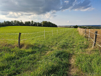Pastevní ustájení Kácov pro valacha / hřebečka, 49.km D1 - 14