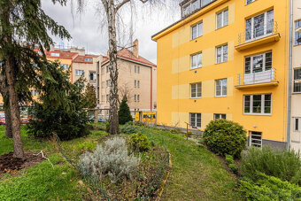 Pronájem bytu 1+kk, U Družstva Repo, Nusle, 15900 Kč/měs, 41 - 14