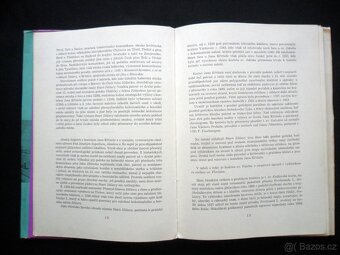 Umělecké památky Jihlavy ( rozfoceno 20 snímků ) - 14