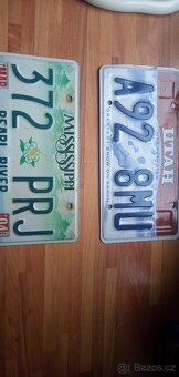 PRODÁM USA REGISTRAČNÍ ZNAČKY PĚKNÁ DEKORACE - 14