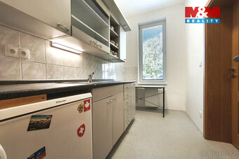 Pronájem obchod a služby, 160 m², Mladá Boleslav - 14