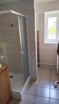 Pronajmu Byt 2+1 (3+1) - 14