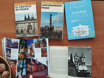 Španělština: učebnice, gramatiky průvodci, slovníky aj. - 14