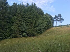 Prodej Pozemku Ski Park Desna - 14