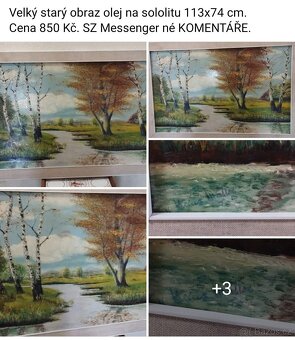 Staré obrazy .Ceny a rozměry viz fota. - 14