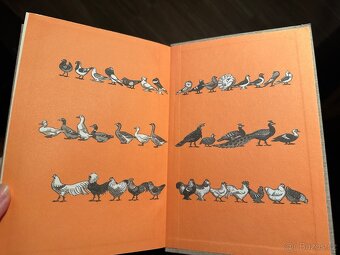 Světem zvířat - 14