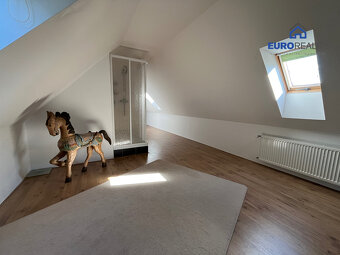Prodej rodinného domu 336 m2, pozemek 1076 m2, Teplá- Berano - 14