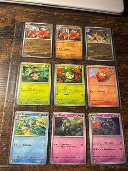 Pokémon karty - 14