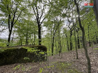 Prodej zahrady, 2545 m², Chrastava, Andělská Hora - 14