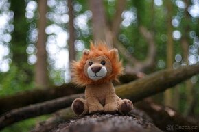 Meyer Optik Gorlitz Trioplan 100mm f2,8 red V EXA - 14