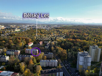 Prodej bytu (49 m2) na ulici Bolotova, Ostrava - Zábřeh - 14