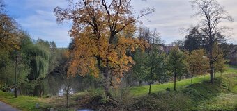 Prodej pěkného velkého domu na Vysočině u Přibyslavi - 14