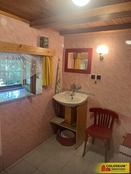 Oslnovice, chata 3+1, 120 m2, dřevěný altán, sklep – chata - 14