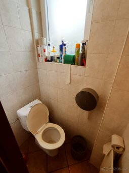 Pronájem nebytových prostor vhodný jako kancelář nebo obchod - 14