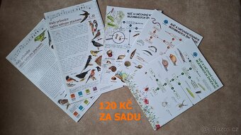 Knihy pro děti 6-13 let - 14