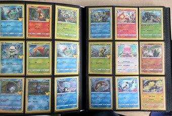 Pokémon karty - 14