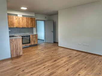 Pronájem bytu Rodov 3+kk se zahradou a parkováním - 14