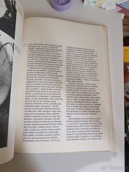 Vojenská letadla 4 - 14