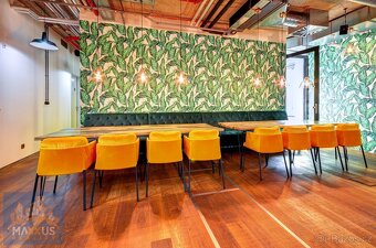 Pronájem reprezentativních kanceláří, Václavské náměstí, Pra - 14