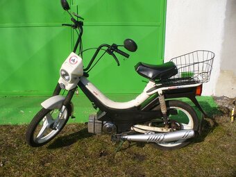 Manet Korado - 14