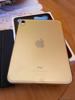 iPad mini 6 64 GB Cellular Gold - 14