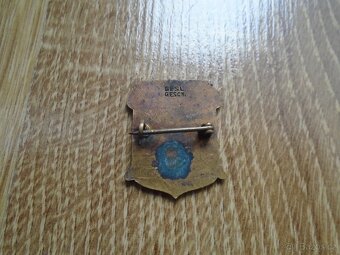 VYZNAMENANÍ ODZNAKY A JINÉ STAROŽITNOSTI - 14