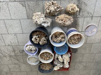 Mořské akvárium - 14