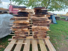 Ořechové fošny, ořech, ořechvá prkna - 14