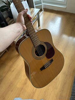 Cort earth 70 nat - 14