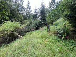 Prodej chalupy -  Podhora u Pěnčína - 14