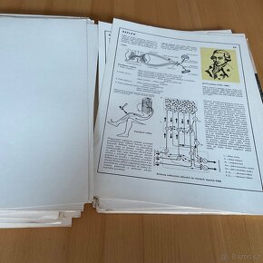 Biologie člověka v obrazech- 1976 - 14