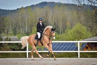 2976 Arn de Gothia-M - 14