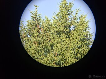 Dalekohled Carl Zeiss Jena 7x50 BINOCTAR - 14