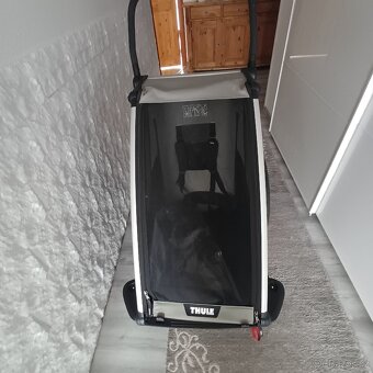 Thule chariot lite1 agave - 14