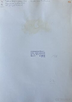 Fotografie Irena Bluhová (1904-1991) - 14