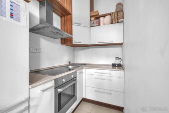 Prodej bytového domu 275 m2, pozemek 86 m2 - 14
