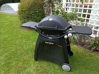 Weber Q3000 Gril - 14