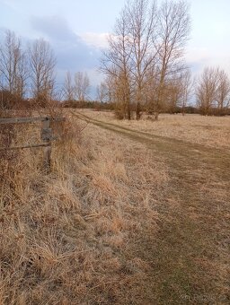 Pozemek u jezera Pístník, přes 1,8 ha, blízko dálnice D8... - 14