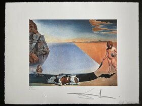 SALVADOR DALÍ, SIGNOVÁNO, ČÍSLOVÁNO - 14