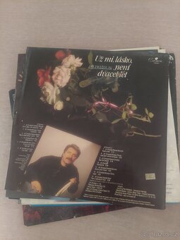 Gramofonové desky - 14